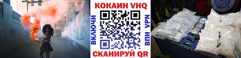 Купить закладки  Елизово  Cocaine Fish Scale 