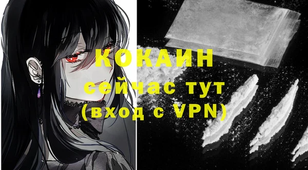 ПСИЛОЦИБИНОВЫЕ ГРИБЫ Карталы