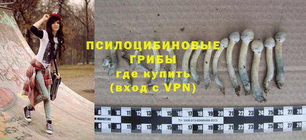 ПСИЛОЦИБИНОВЫЕ ГРИБЫ Карталы
