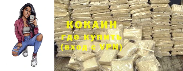 ПСИЛОЦИБИНОВЫЕ ГРИБЫ Карталы