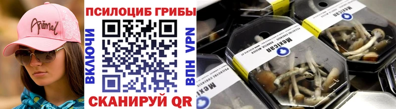 Псилоцибиновые грибы ЛСД  Купить где  Елизово 